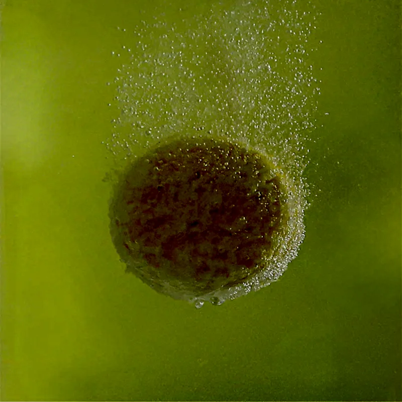 Mutfak Temizleyici Başlangıç Seti