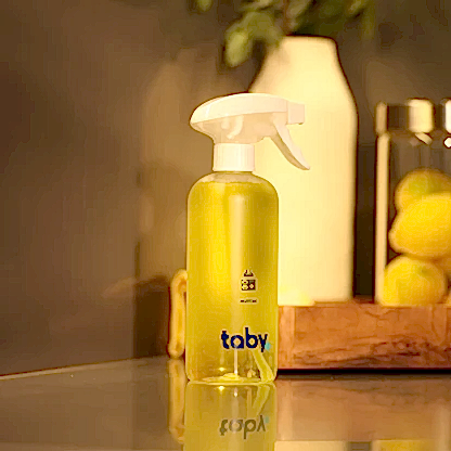 Mutfak Temizleyici Başlangıç Seti